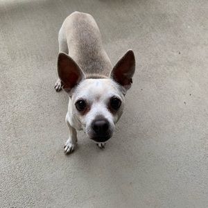 Meet your Posher, Adriana